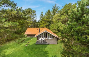 Nice Home In Blåvand With Wifi